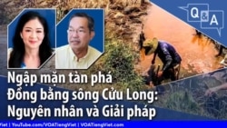 Ngập mặn tàn phá Đồng bằng sông Cửu Long: Nguyên nhân và Giải pháp