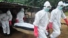 Число жертв лихорадки Эбола превысило 7 500 человек
