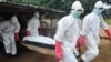 Пентагон создает чрезвычайную команду для борьбы с лихорадкой Эбола в США