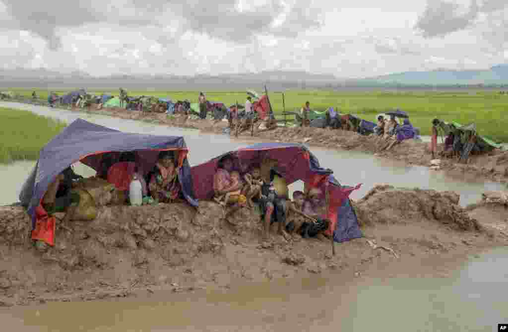 Bangladeş'e yeni sığınan Arakanlı mülteciler yağmurdan korunmak için muşamba tenteler kullanıyor.