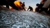 Namibe: Pescadores forçados a abandonar zona piscatória