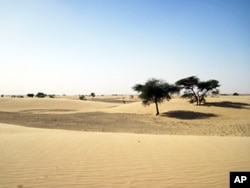 Mauritanian landscape. The photo was taken on a field trip to Mauritania led by Jan-Berend Stuut in November 2009.