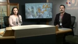 بي بي شیرینه – وي او اې ډيوه په ټیلې ویژن