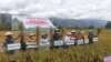 Teknologi Bantu Pemulihan Produksi Padi Petani di Sigi, Sulawesi Tengah