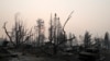 FILE - A neighborhood destroyed by the Camp Fire is seen in Paradise, California, U.S., November 17, 2018. 