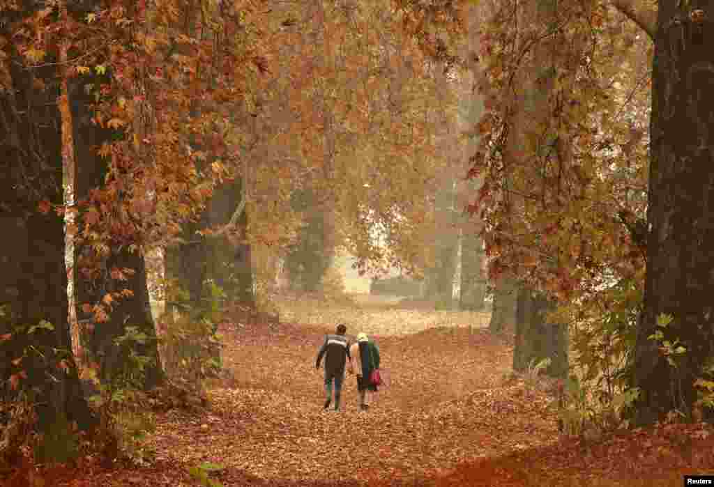 A couple walks on a path filled with the fallen leaves of Chinar trees in a garden in Srinagar, India-controlled Kashmir.