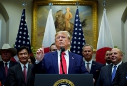 U.S. President Donald Trump speaks about Turkey and Syria at the White House in Washington, Oct. 7, 2019.
