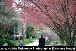 Hofstra's campus in Long Island, New York.