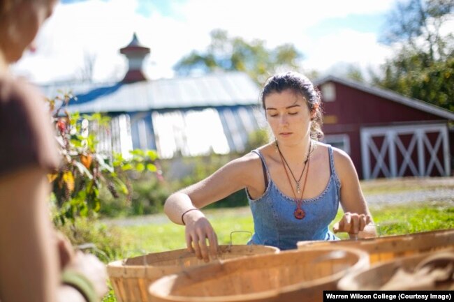 Warren Wilson College students working on the farm. They grow their own food on their school farm outside Asheville, North Carolina.