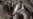 16x9 Image