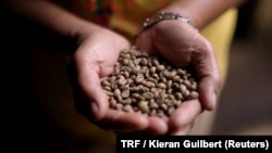 A woman from an indigenous community holds coffee beans grown by a cooperative in Mindanao, the Philippines, March 26, 2018.