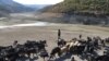 FILE - A shepherd leads his herd in the almost dried Doueisat dam outside the town of al-Diriyah in Syria's northern Idlib province, Nov. 9, 2021.