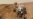 Curiosity Treks Into Second Year on Mars