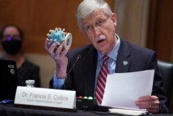NIH Director Dr. Francis Collins holds up a model of the coronavirus as he testifies before a Senate Appropriations Subcommittee Capitol Hill in Washington, May 26, 2021.