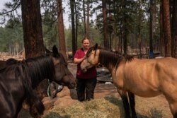 Veterinarian Tawnia Shaw, with The Happy Pet Vet team, examines horses that had been left during a Level 3 evacuation during the Bootleg Fire, July 13, 2021, near Sprague River, Ore.
