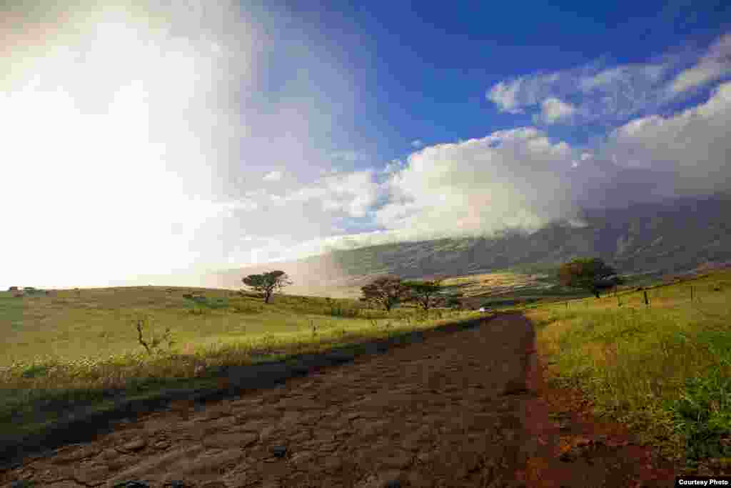 A road to Hana near the coast of Maui, Hawaii (Alison Klein/VOA)