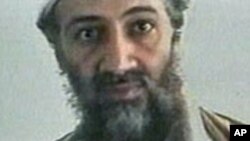 Marigayi Osama Bin Laden, shugaban Kungiyar al-Qaida.