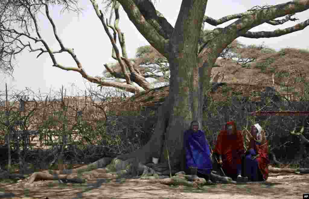 Des Massaï assis sous un arbre de l&#39;ombre dans un village à la périphérie de Serengeti, dans le nord de la Tanzanie, lundi 12 août 2013. Les Massaïs migrent d&#39;un endroit à l&#39;autre pour trouver de nouveaux pâturages pour leur bétail. Ils vont jusqu&#39;à trois jours sans eau potable.