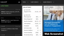 Gallup polls / Website screen shot