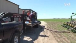 After Years of Uncertainty, U.S. Farmers Start New Crop Season Amid Hikes in Grain Commodity Prices