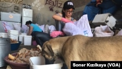 Şantiyede yaşayan köpekler de paparadan paylarına düşeni alıyor.