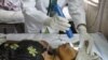 A doctor examines an unconscious hepatitis patient in special isolation ward at a civil hospital in Ahmadabad, India.