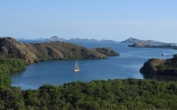 Sebuah perahu wisata terlihat di lepas pantai pulau Rinca di Taman Nasional Komodo, tujuan wisata populer pada 24 Mei 2016. (Foto: Antara via Reuters)