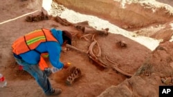 In this undated photo released May 21, 2020, by Mexico's National Institute of Anthropology and History (INAH), an archaeologist works at the site where bones of about 60 mammoths were discovered near Mexico City.