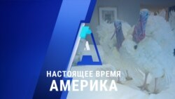 «Настоящее время. Америка» – 24 ноября 2020