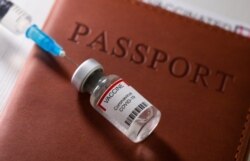 FILE - A syringe and a vial labelled "Vaccine coronavirus COVID-19" are seen placed on a passport in this illustration photo.