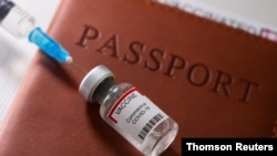 A syringe and a vial labelled "coronavirus disease (COVID-19) vaccine" are placed on a passport in this illustration picture