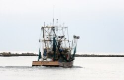 A Mississippi shrimp boat heads out of the harbor on the first day of shrimp season in Biloxi, Mississippi on June 3, 2010.