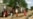 Chadian women contest underrepresentation, say it undermines national dialogue recommendation