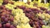 محصول امسال انگور هرات بیش از ١٣٥هزار تن خواهد بود