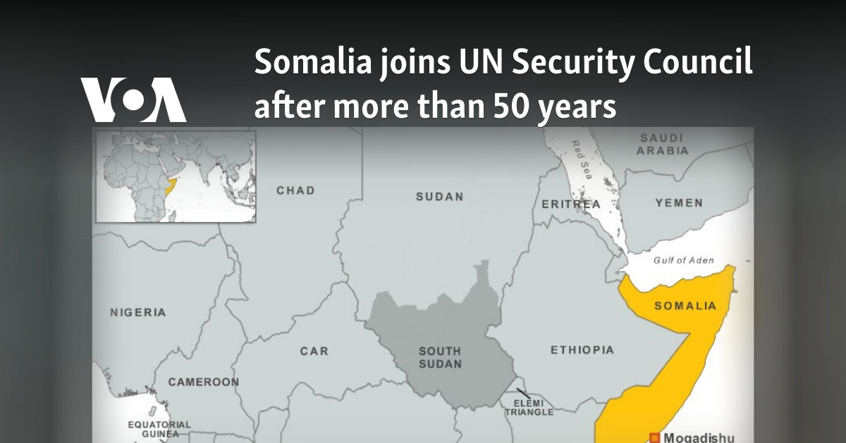 Somalia joins UN Security Council after more than 50 years