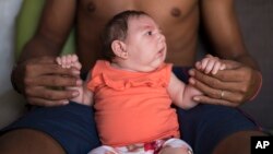 Hasta el momento, las autoridades sanitarias en Brasil han confirmado sólo seis casos de microcefalia en los que los niños estaban infectados con el virus Zika.