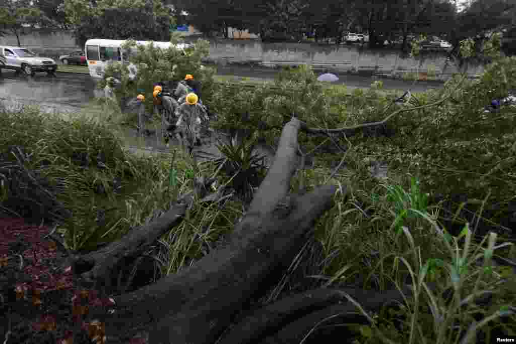 El Centro Nacional de Huracanes (NHC) de Estados Unidos prevé que Sara se debilite a medida que avance hacia el interior de Quintana Roo, estado de México.