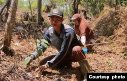 Program reboisasi klinik ASRI memberdayakan masyarakat untuk ikut melestarikan hutan (courtesy: Alam Sehat Lestari/ASRI).