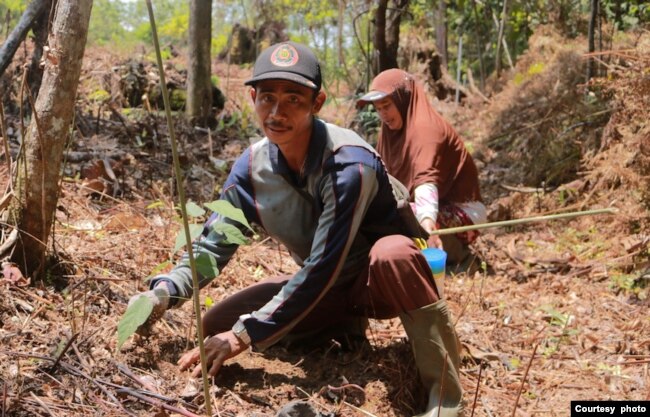 Program reboisasi klinik ASRI (courtesy: Alam Sehat Lestari/ASRI).