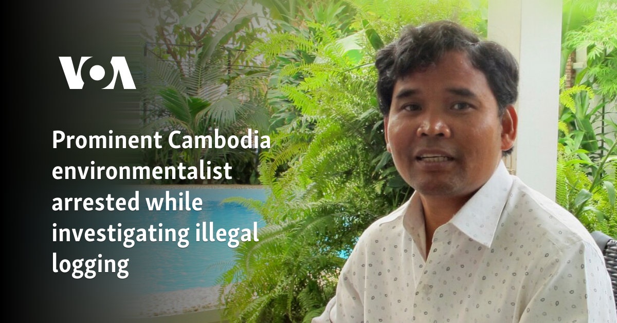 Prominent Cambodia environmentalist arrested while investigating illegal logging