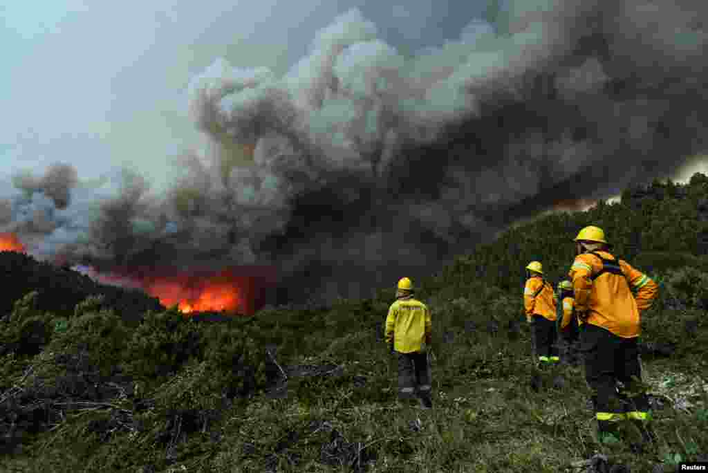 Fire brigades look at the forest during fires in Bariloche, Argentina, Dec. 29, 2021.