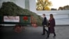 Melania Trump Receives White House Christmas Tree