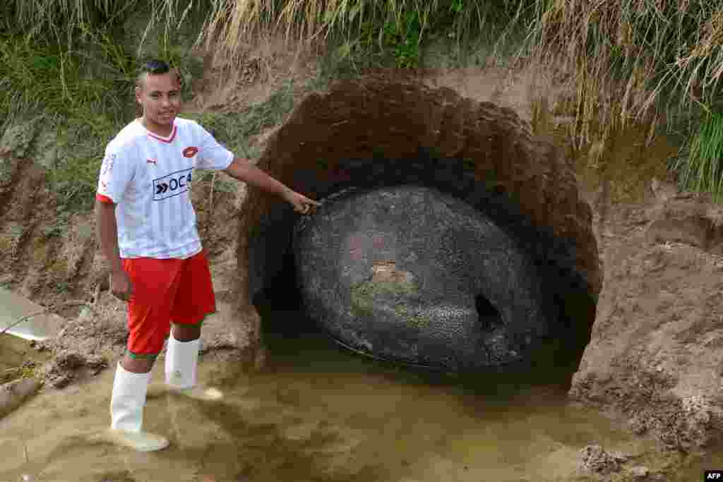 A man points at a glyptodont shell found in Carlos Spegazzini, Buenos Aires Province, Argentina, Dec. 29, 2015.