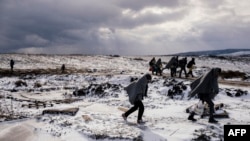 Migrants and refugees use their sleeping blankets to keep warm as they walk along snow covered fields after crossing the Macedonian border into Serbia, near the village of Miratovac, on January 18, 2016.