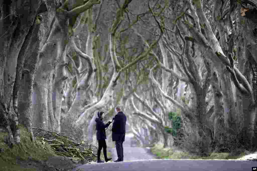 A journalist interviews a local politician after two beech trees were bought down by a storm near Ballymoney. Two of the 200-year-old trees featured in the TV series &quot;Game of Thrones&quot; as the Dark Hedges, were uprooted and toppled by 80 mph winds which swept across Northern Ireland.