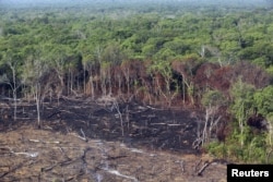 Area Taman Nasional Xingu di hutan hujan Amazon, yang telah dibabat dan dibakar, di Mato Grosso, Brazil, 4 Oktober 2015. (REUTERS/Paulo Whitaker)