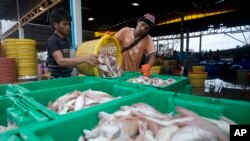 FILE - Migrant workers separate freshly caught fish by size at a fish market in Samut Sakhon Province, west of Bangkok, June 20, 2014.
