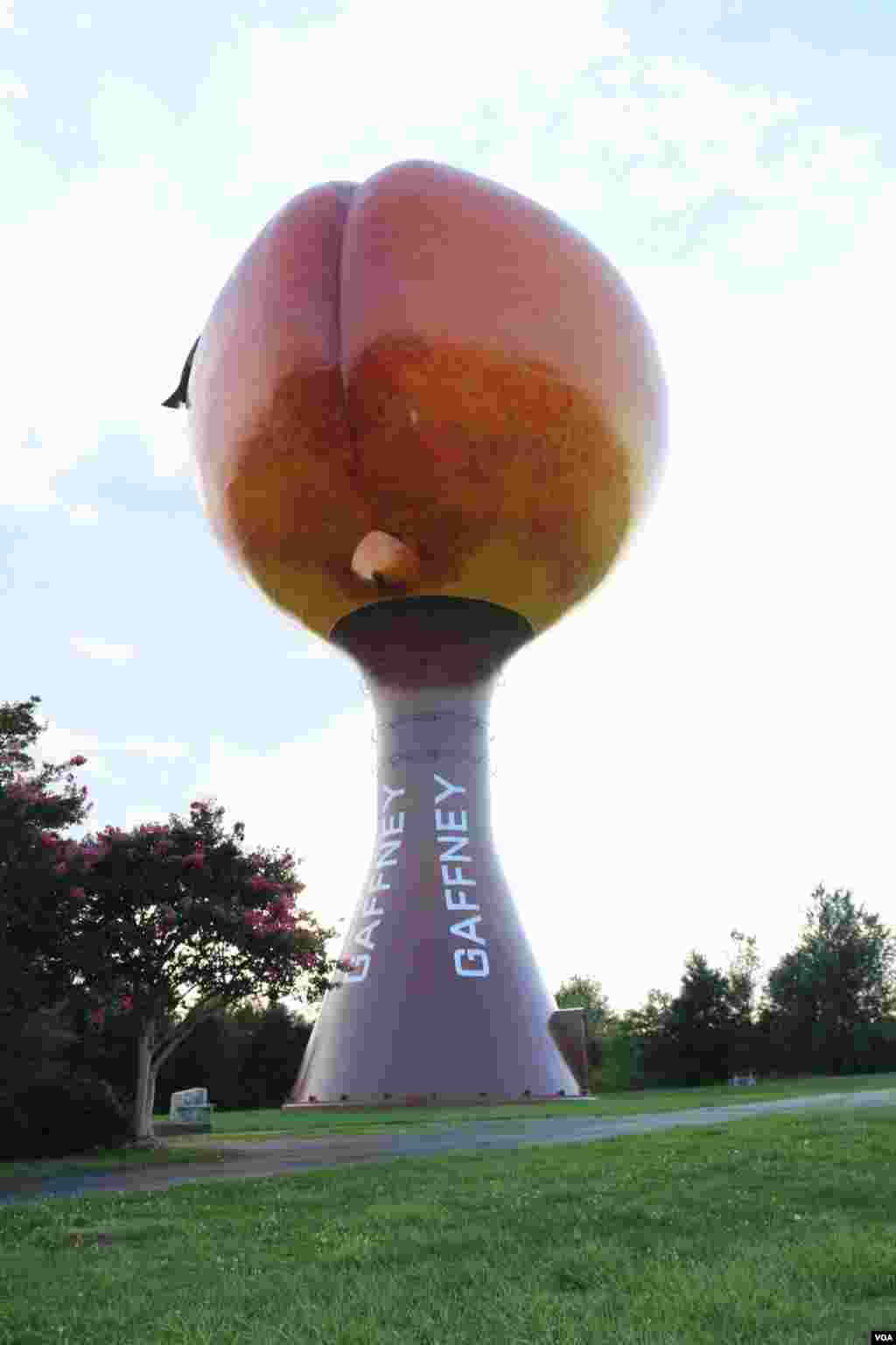 《纸牌屋》中出现过的桃子形状的水塔。(美国之音龚小夏 拍摄)