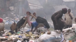 Scientists Study Slums for Signs of Spreading Superbugs