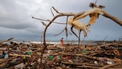 Oceans Threatened by Human Interference